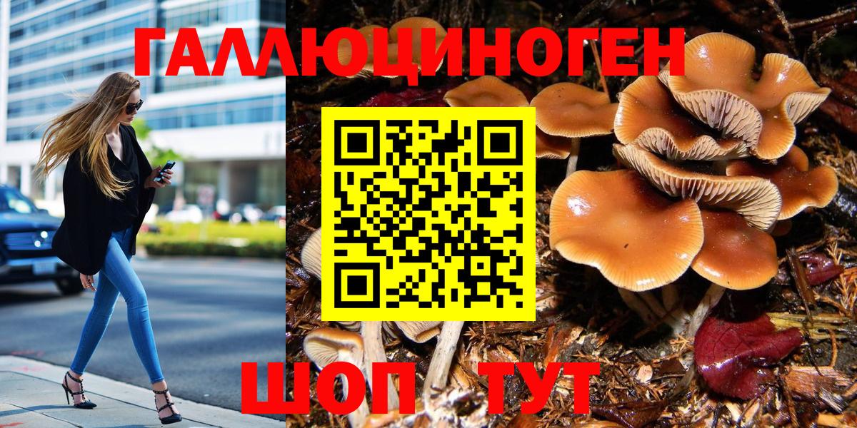 Псилоцибиновые грибы MAGIC MUSHROOMS Нефтекумск